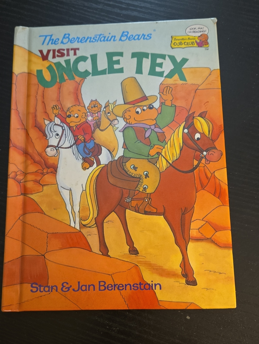 2 THE BERENSTAIN BEARS BOOKS  Visit Uncle Tex And Summer Job